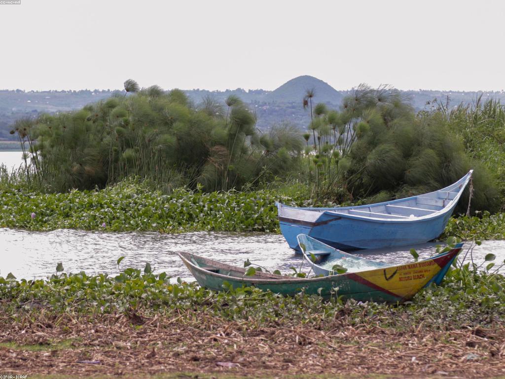 អត្ថប្រយោជន៍នៃសហគមន៍ស្លត