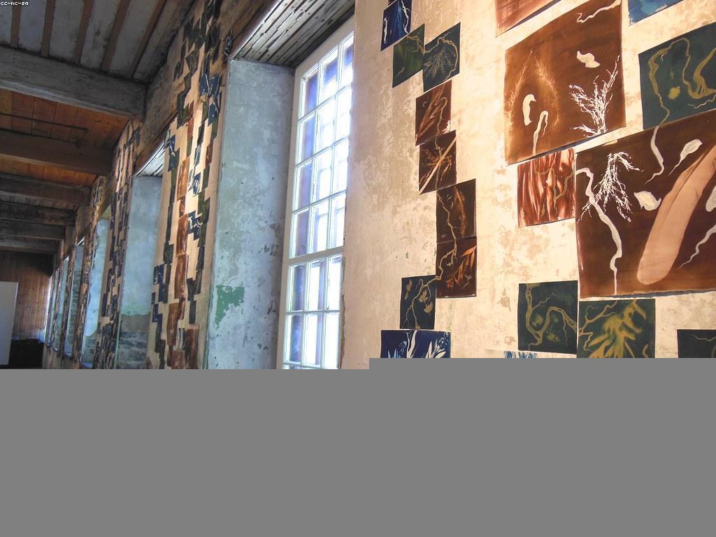 ការជ្រៀតជ្រែកក្នុងសហគមន៍ស្លត: វិធីសាស្រ្តនិងអត្ថប្រយោជន៍